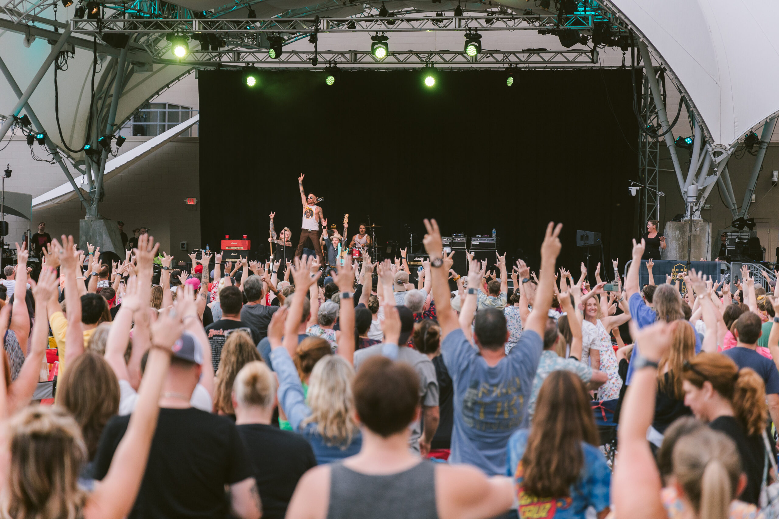 people cheering at an outdoor concert